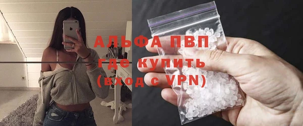 прущие крисы Ельня