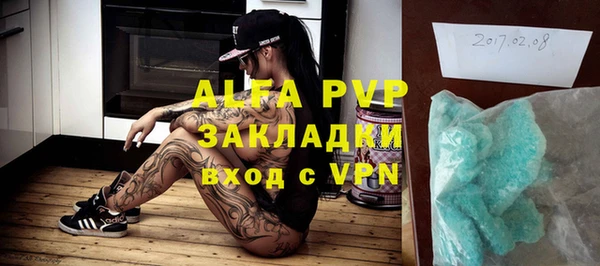 молекула духа Елизово