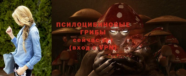 прущие крисы Ельня